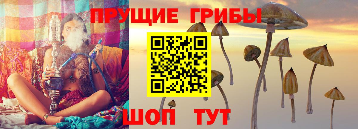 Псилоцибиновые грибы Magic Shrooms  Вход с VPN  Сибай 